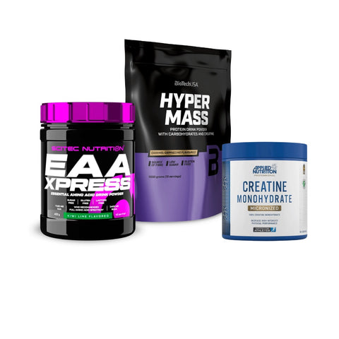 Bundle Massa