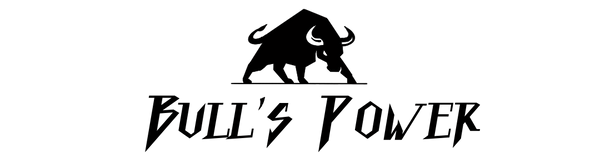 Logo Bull's Power