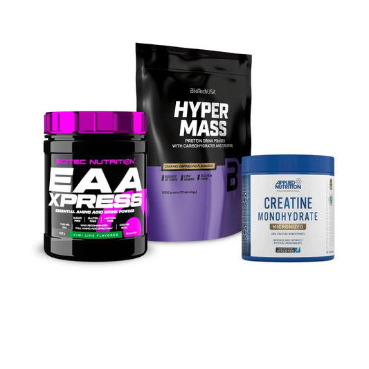 Bundle Massa