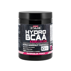 Enervit Hydro BCAA 2:1:1 Instant 335g