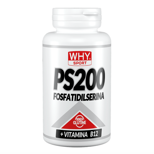 Supporto del sistema nervoso